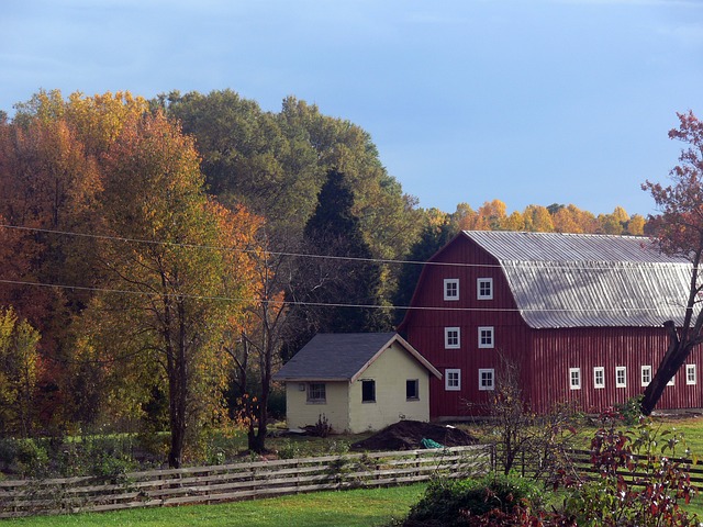 Boerderij